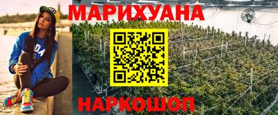 гидропоника Ипатово