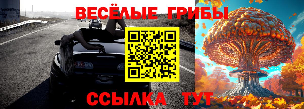 как найти наркотики  Вход с VPN  Кумертау  Галлюциногенные грибы мухоморы 